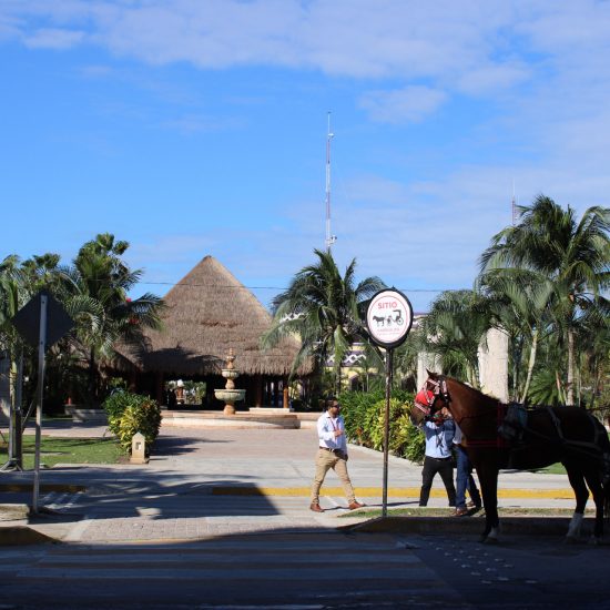 puertomaya2