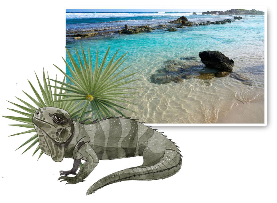 hidden beaches of cozumel