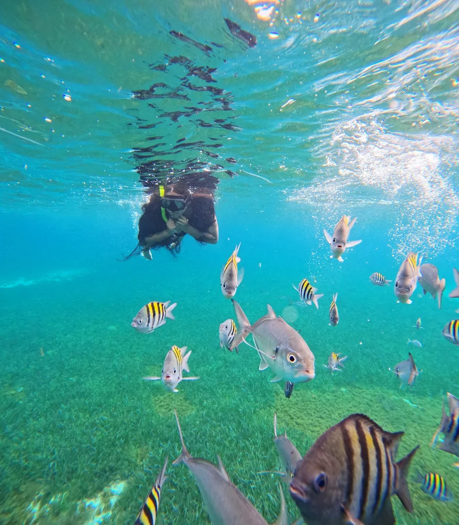 el cielito cozumel 2