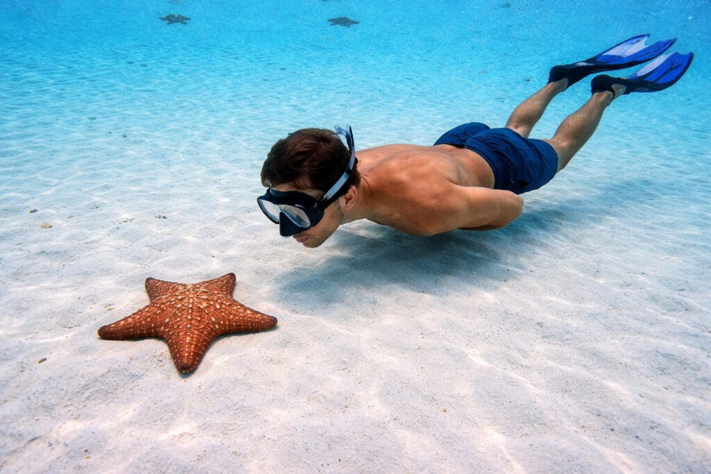 el cielo cozumel
