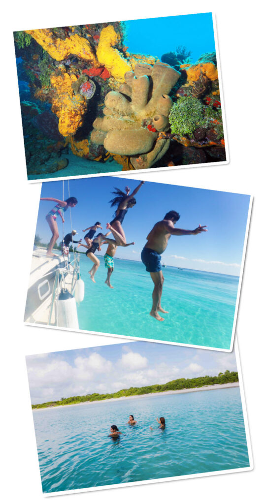 palancar reef