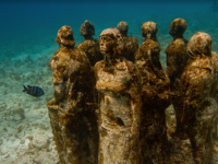 Wedding catamaran rental playa mujeres